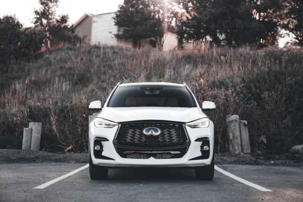 Casino Royal Panda Application Android/iOS